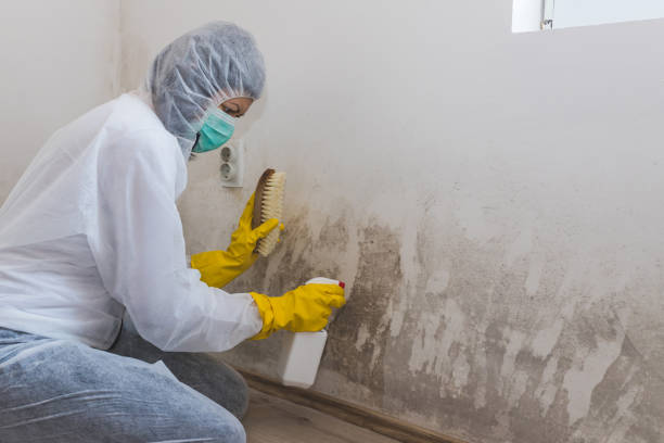Best Residential Mold Removal  in West Pasco, WA