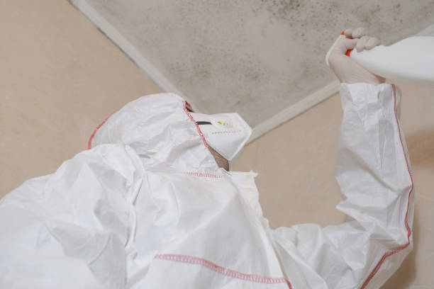 Best Office Mold Removal Services  in West Pasco, WA