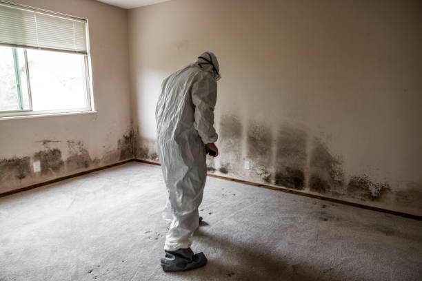 Best Mold Testing  in West Pasco, WA