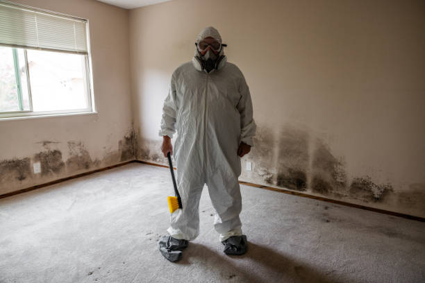 Best Attic Mold Removal  in West Pasco, WA