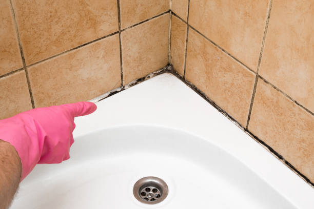 Best Mold Remediation Services  in West Pasco, WA
